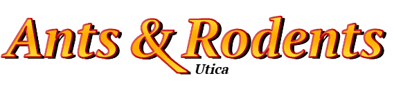 Utica Ant Exterminator & Rodent Control Company Logo